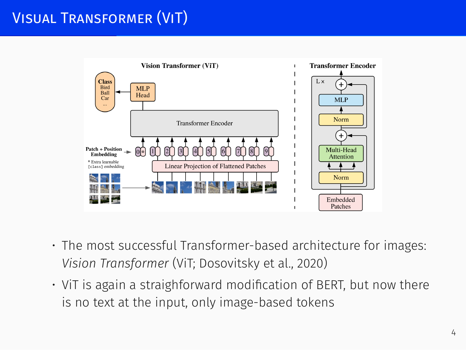 ViT architecture: patch embedding and Transformer encoder