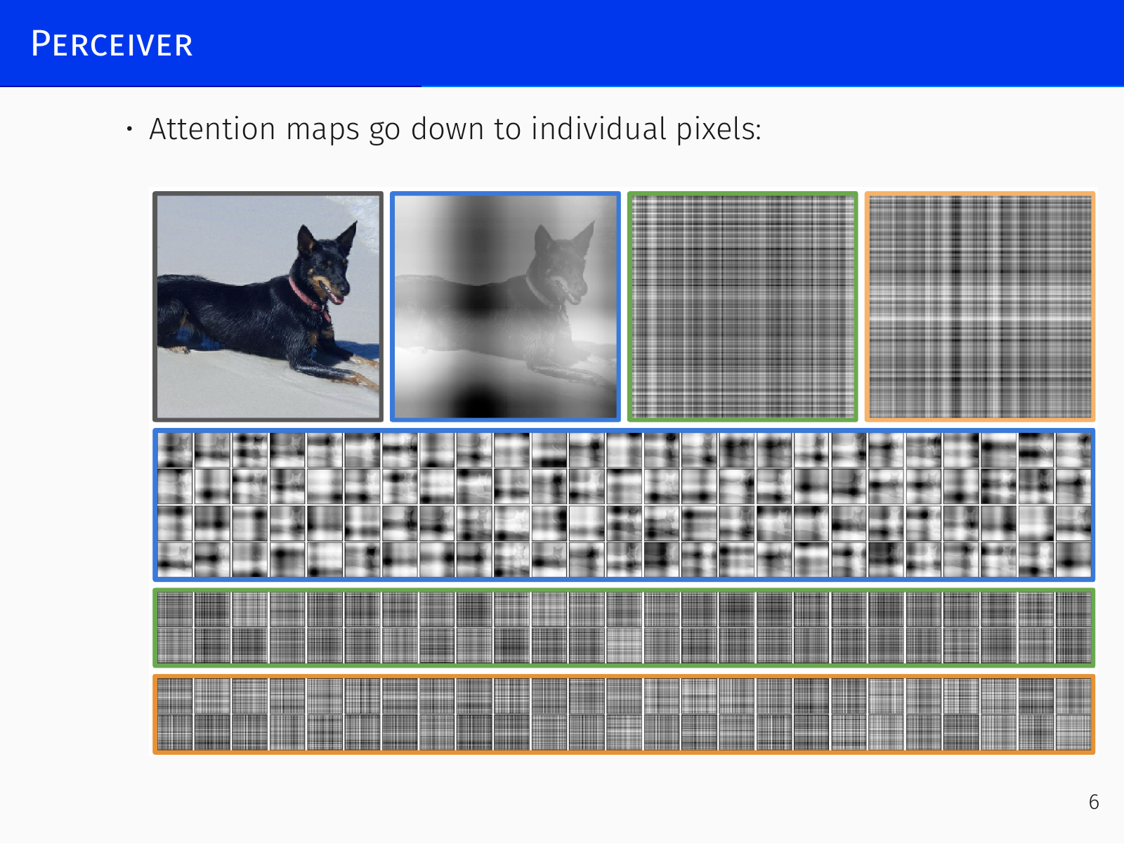 Perceiver architecture: latent queries attending to input bytes
